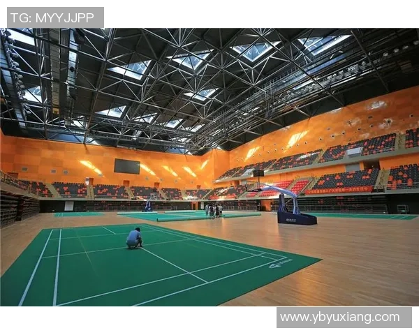 杭州羽毛球队转型之路：探索新机遇与挑战的深度分析