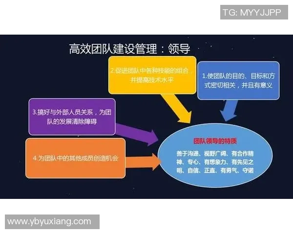 杭州篮球队转换体系解析：高效战术与团队协作的完美结合