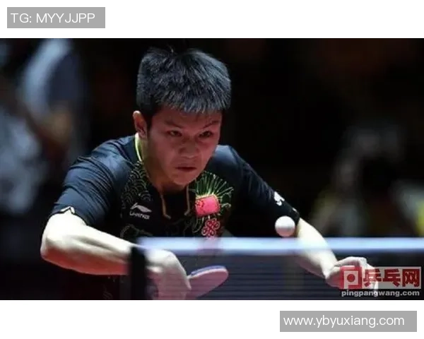武汉乒乓球队的成长之路挑战赛背后的拼搏与坚持故事