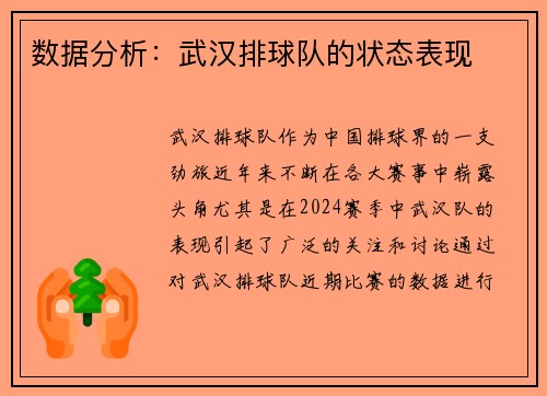 数据分析：武汉排球队的状态表现